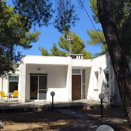 House In Pines In Front Of The Sea Vakantiehuis Vourvourou