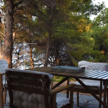 Vakantiehuis House In Pines In Front Of The Sea *