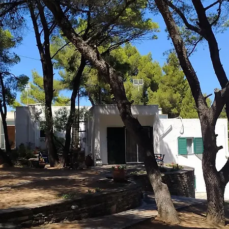 House In Pines In Front Of The Sea Vakantiehuis *