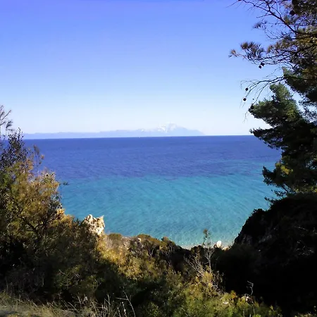 Dom wakacyjny House In Pines In Front Of The Sea *