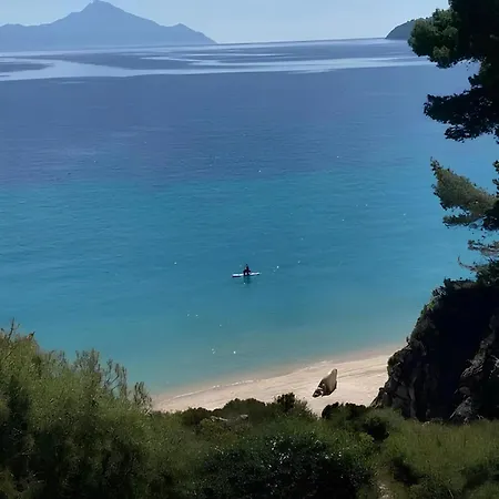 House In Pines In Front Of The Sea *