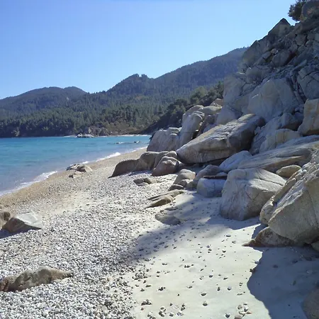 House In Pines In Front Of The Sea *