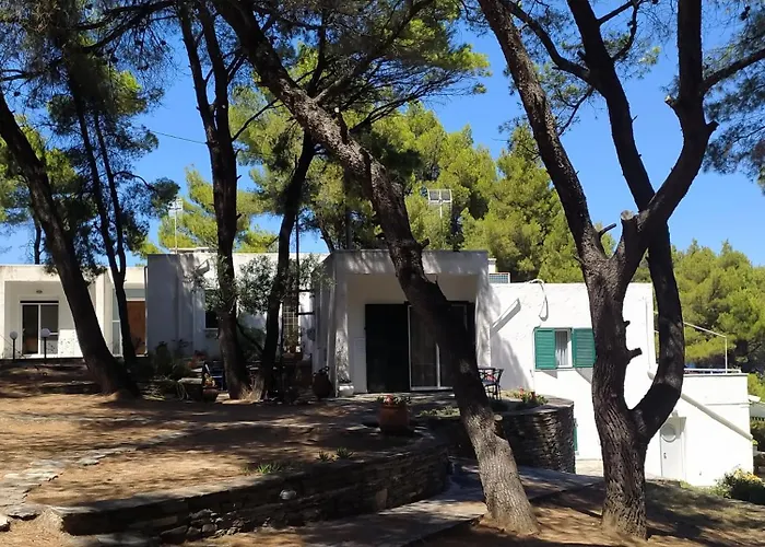 House In Pines In Front Of The Sea Hébergement de vacances *