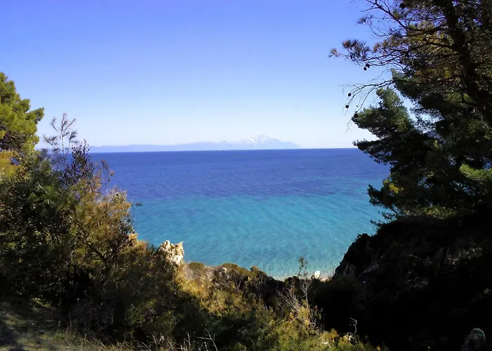Hébergement de vacances House In Pines In Front Of The Sea *