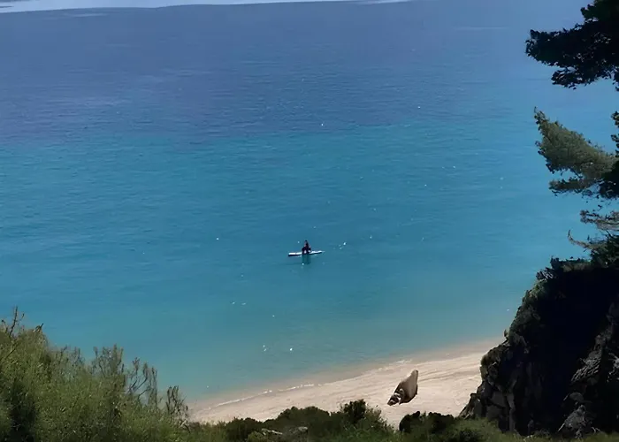 House In Pines In Front Of The Sea *