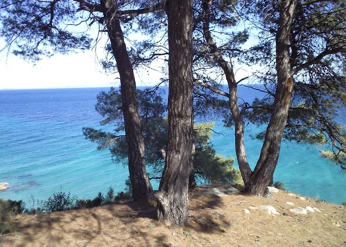 House In Pines In Front Of The Sea Hébergement de vacances *