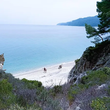 House In Pines In Front Of The Sea Вурвуру